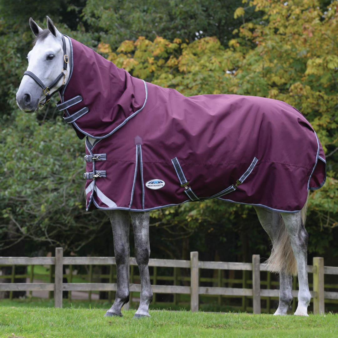Weatherbeeta Comfitec Plus Dynamic II Detach-A-Neck Heavy