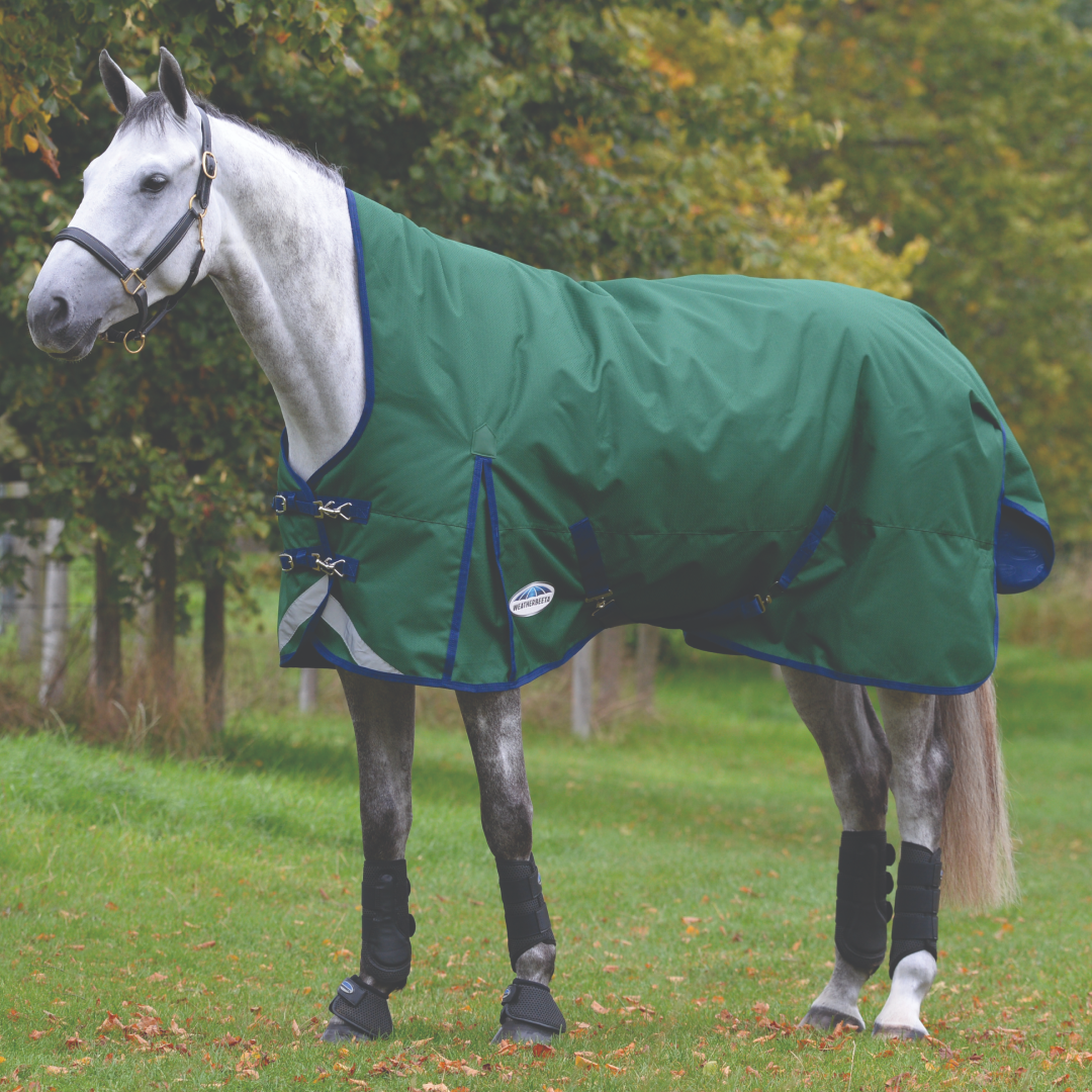 Weatherbeeta Comfitec Plus Dynamic II High Neck Medium/Lite
