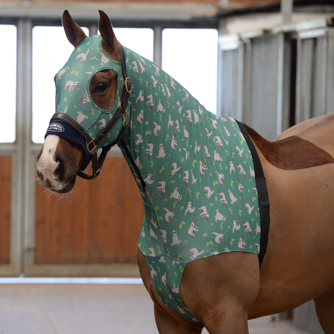 Weatherbeeta Printed Stretch Hood With Zip