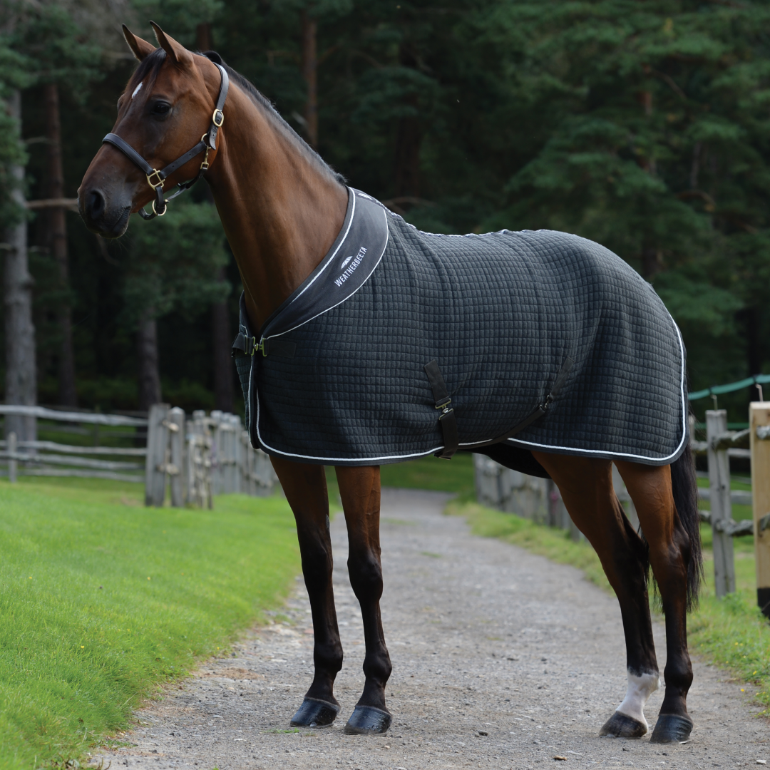 Weatherbeeta Thermocell Cooler Standard Neck