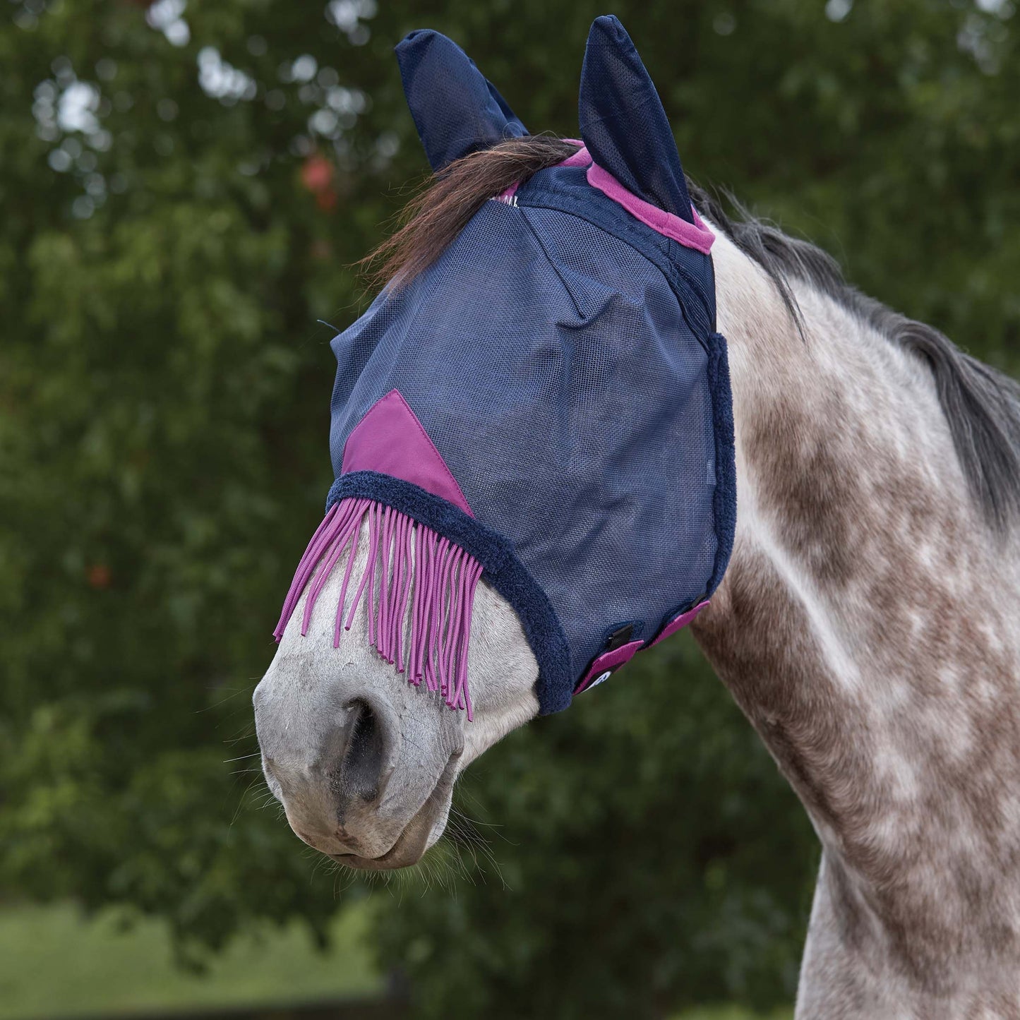 Weatherbeeta ComfiTec Deluxe Durable Mesh Mask With Ears & Tassels