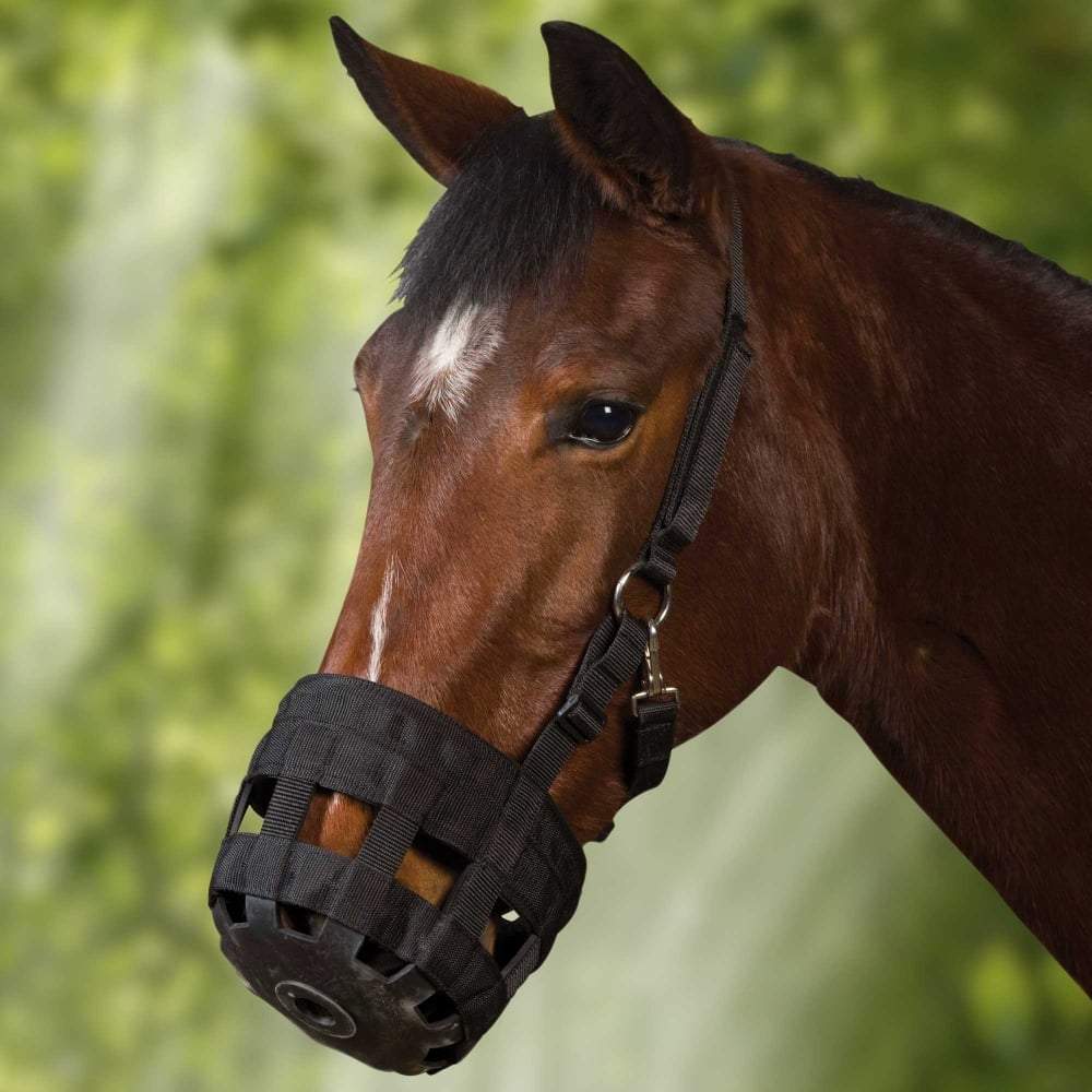 Roma Grazing Muzzle
