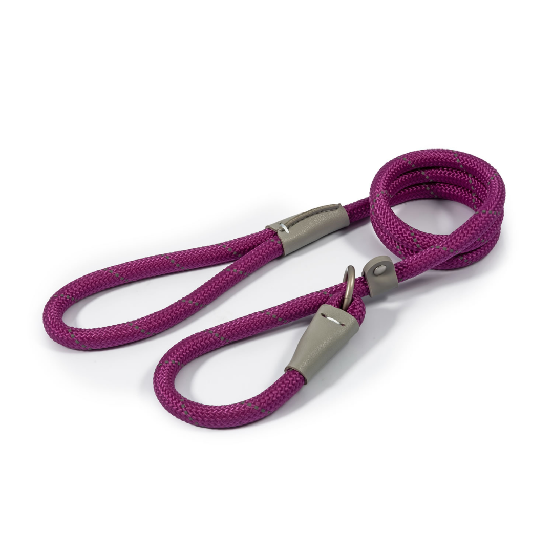 Ancol Viva Reflective Rope Slip
