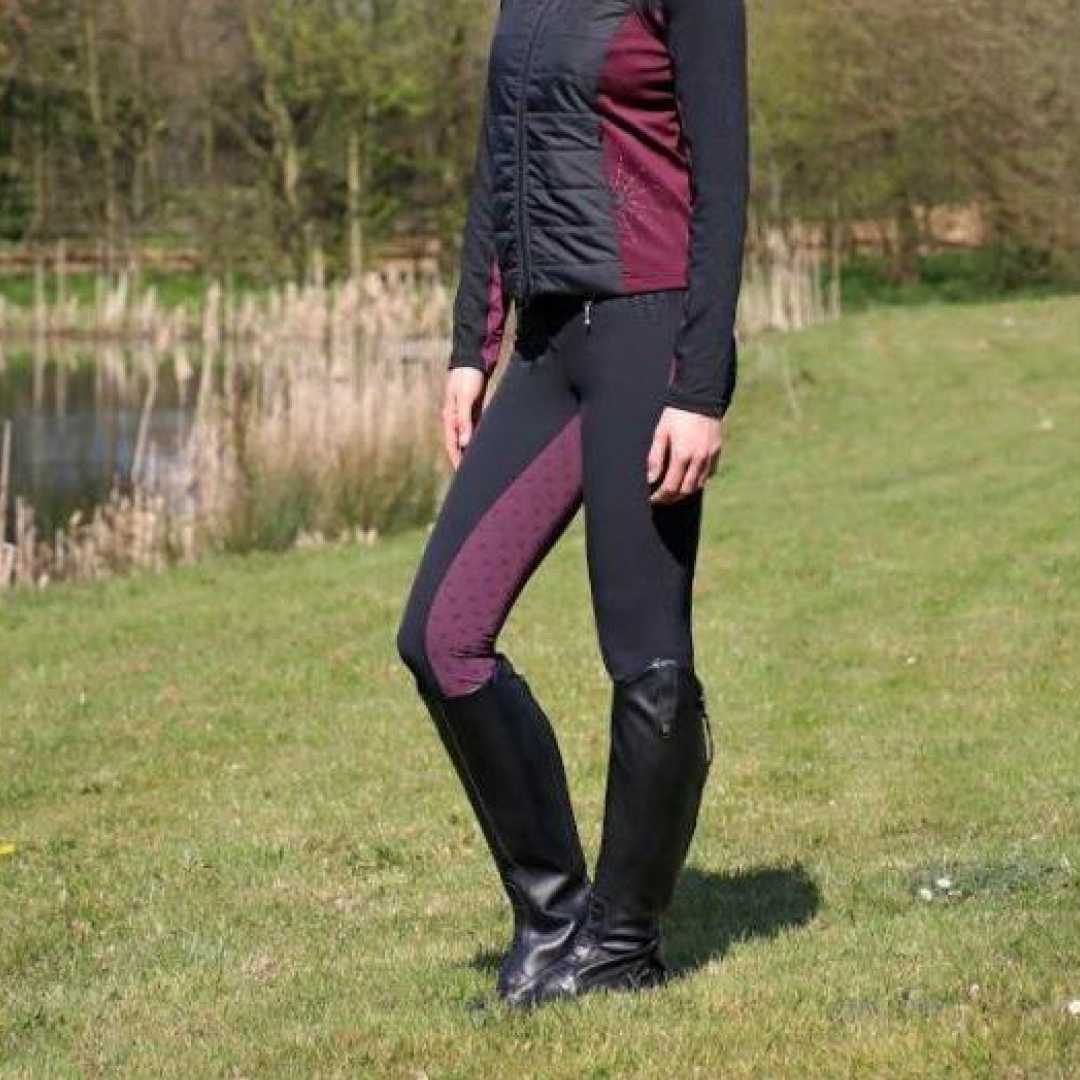 Hy Equestrian Knightsbridge Ladies Breeches