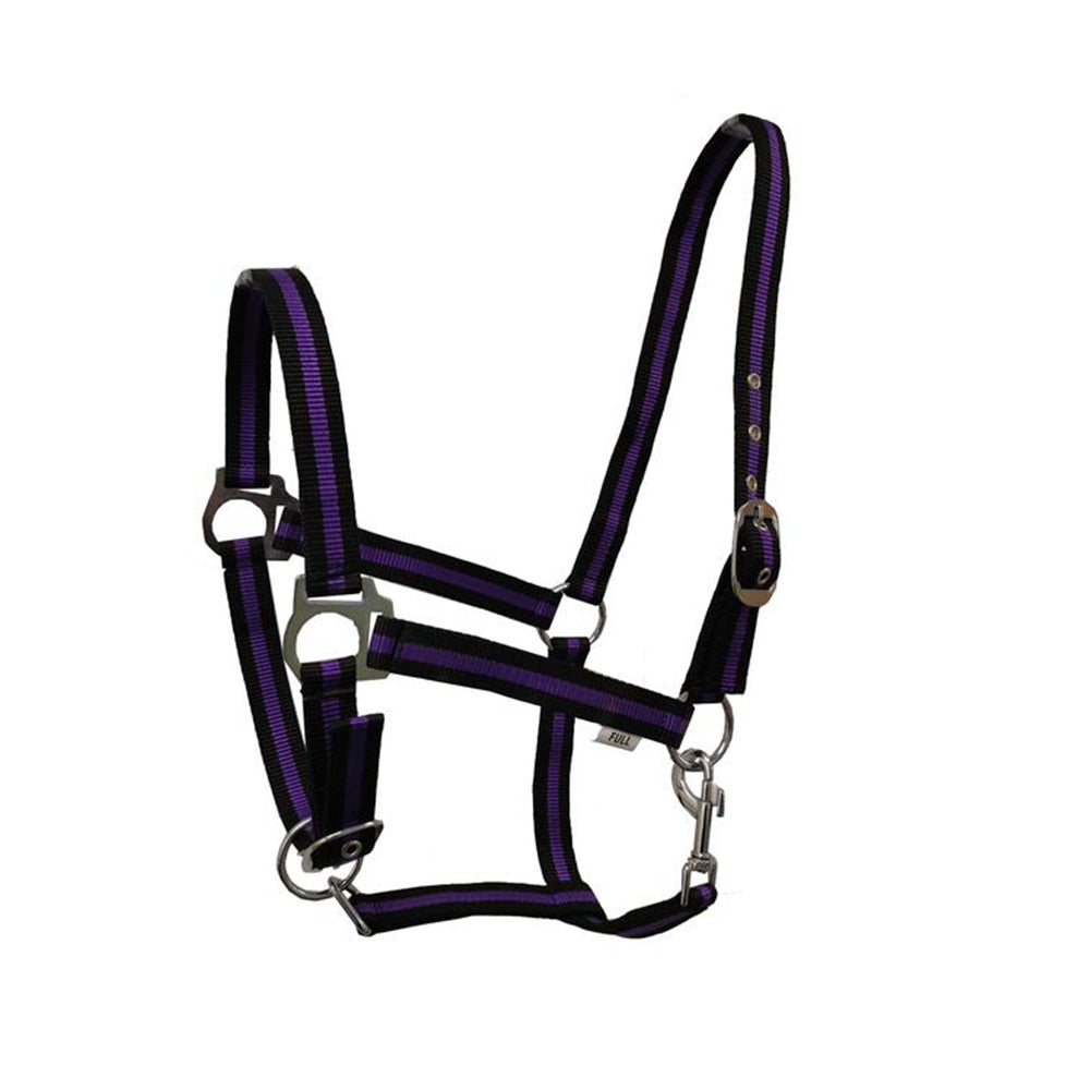 GS Equestrian Economy Head Collar