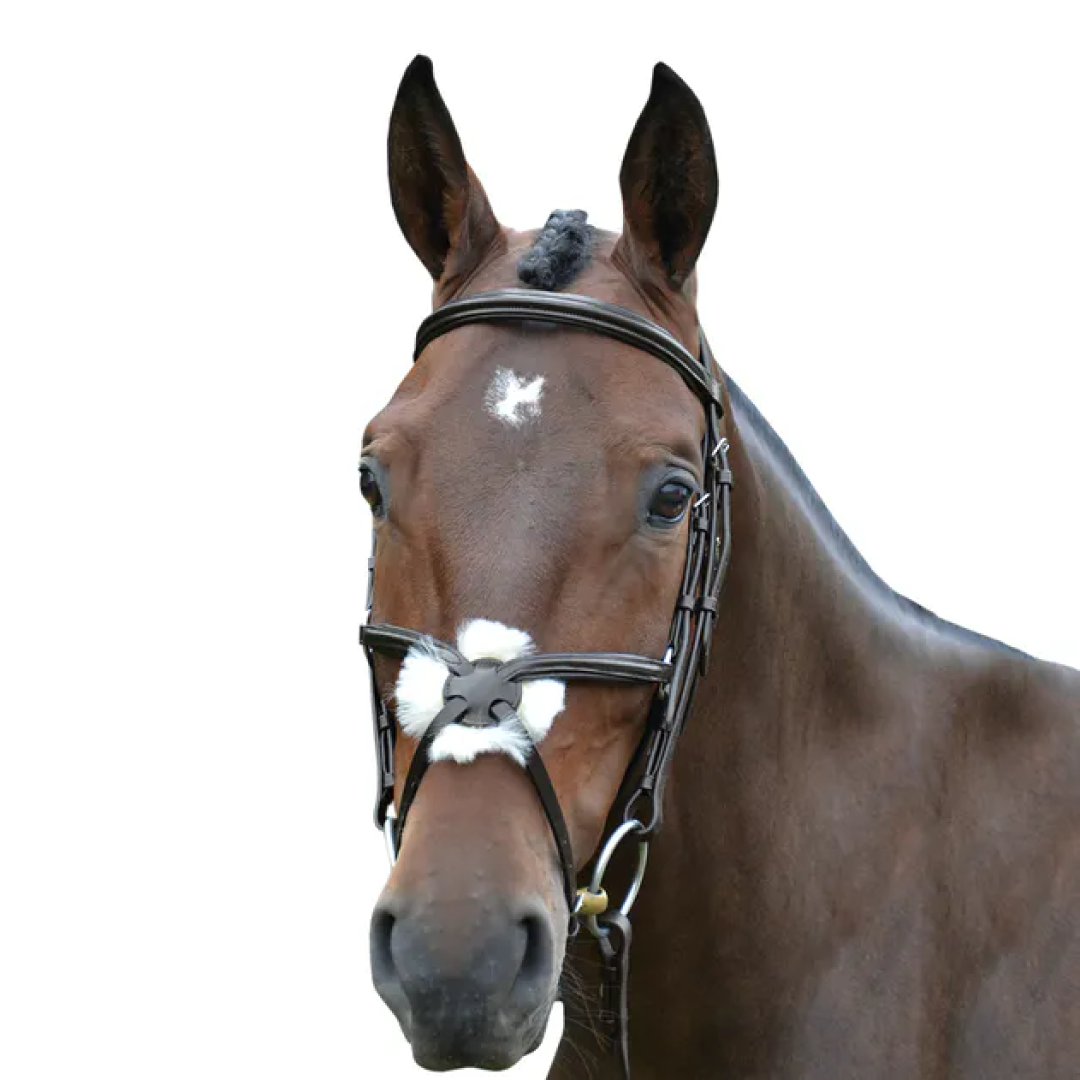 Hy Mexican Bridle with Rubber Grip Reins
