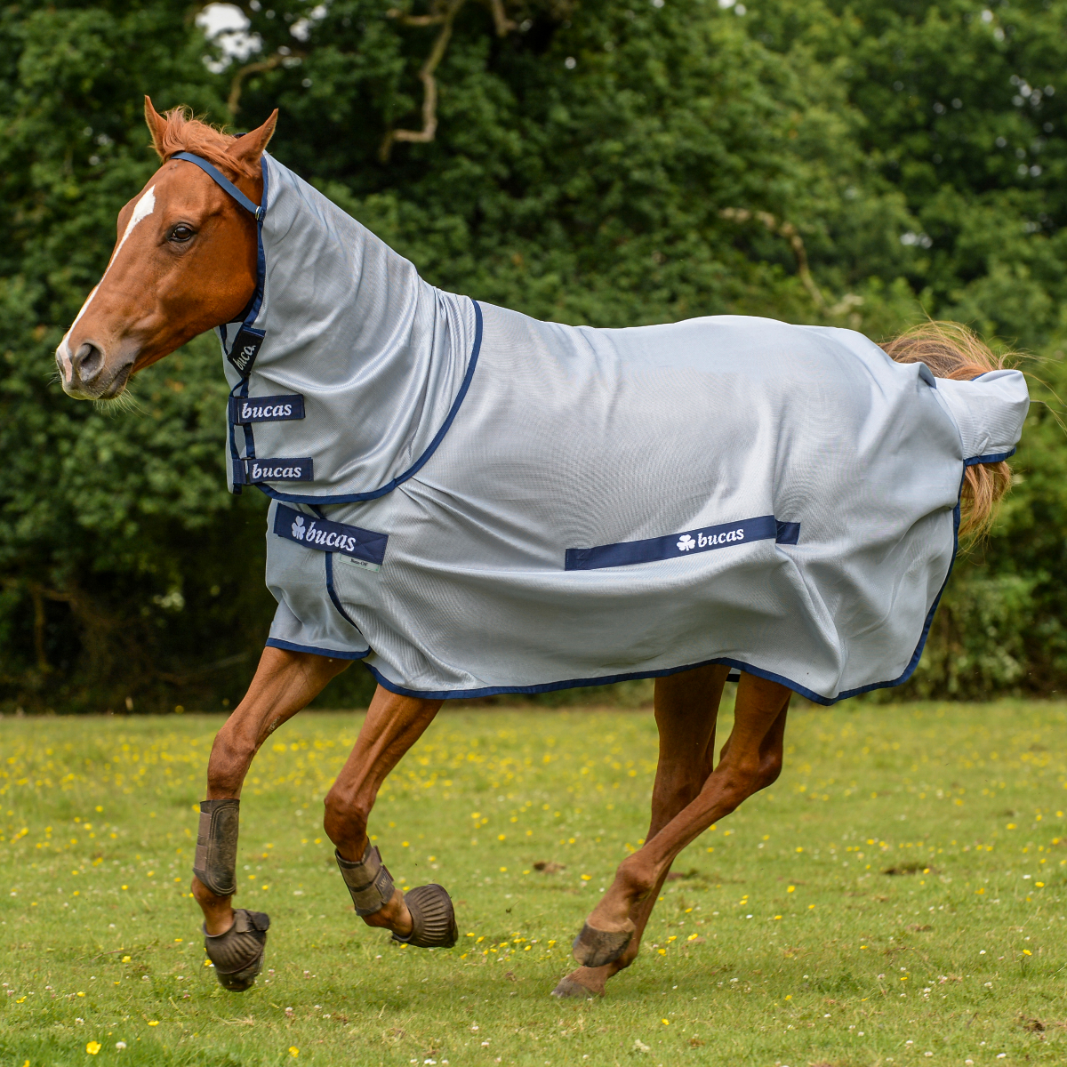 Bucas Buzz-Off Full Neck Fly Rug