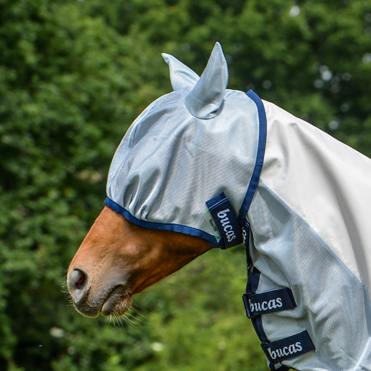 Bucas Buzz-Off Fly Mask