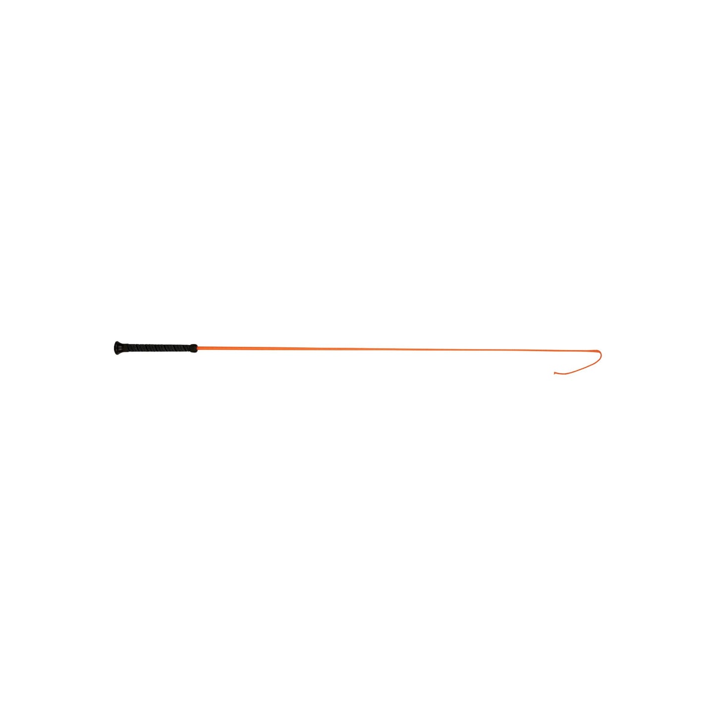 Dublin Brights Dressage Whip