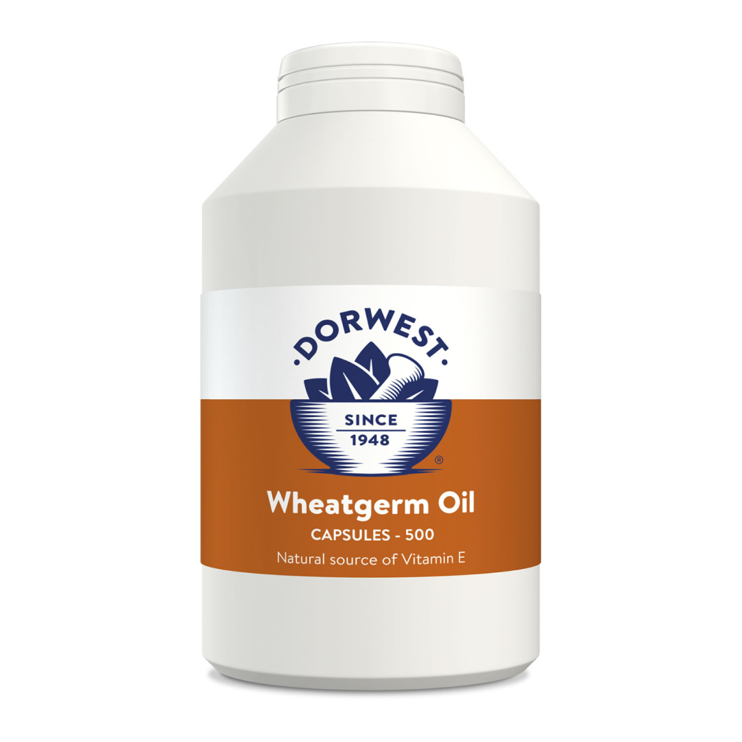 Dorwest Herbs Wheatgerm Oil for Dogs/Cats