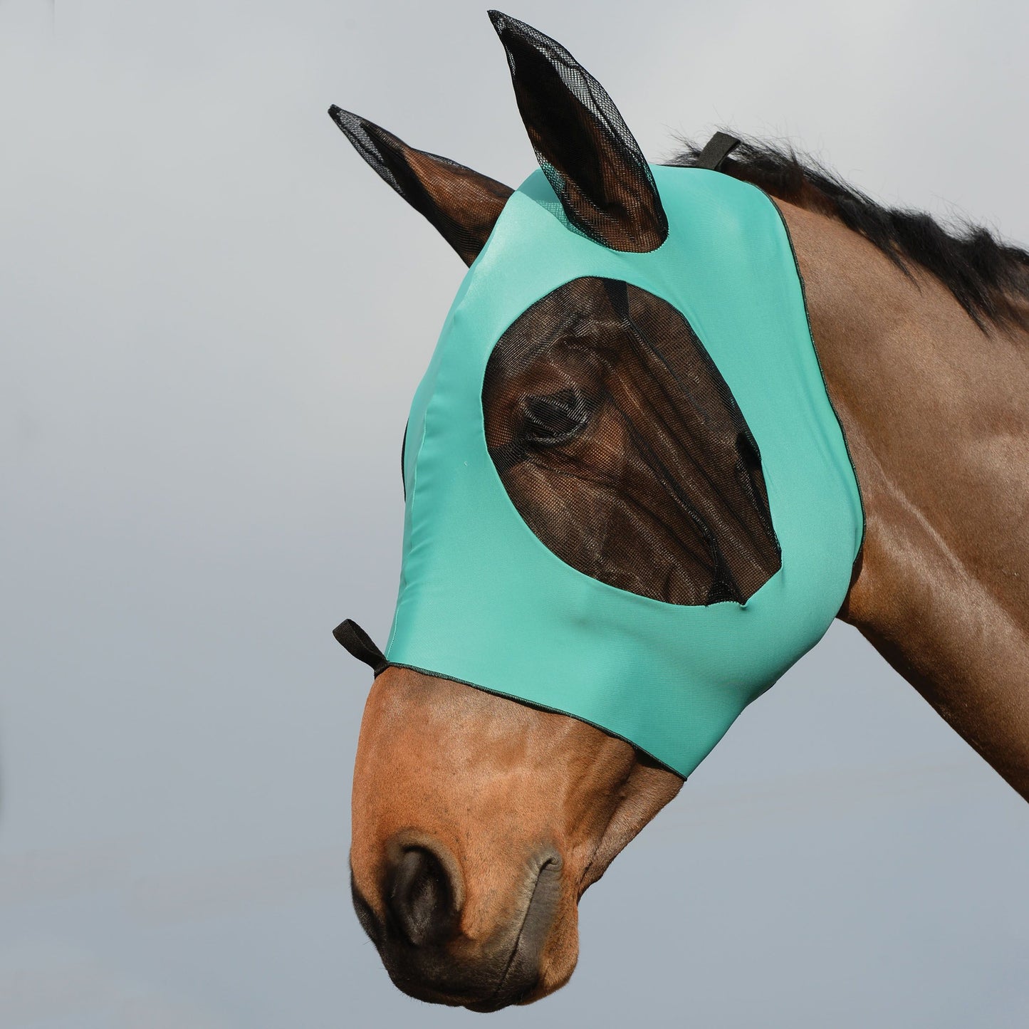WeatherBeeta Stretch Bug Eye Saver with Ears