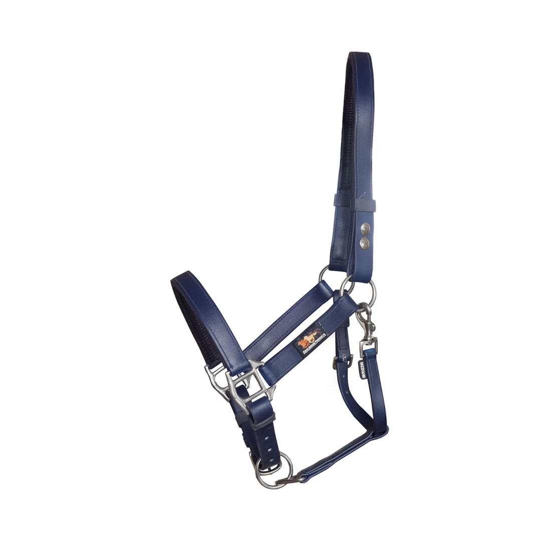 Equilibrium Stellar Headcollar