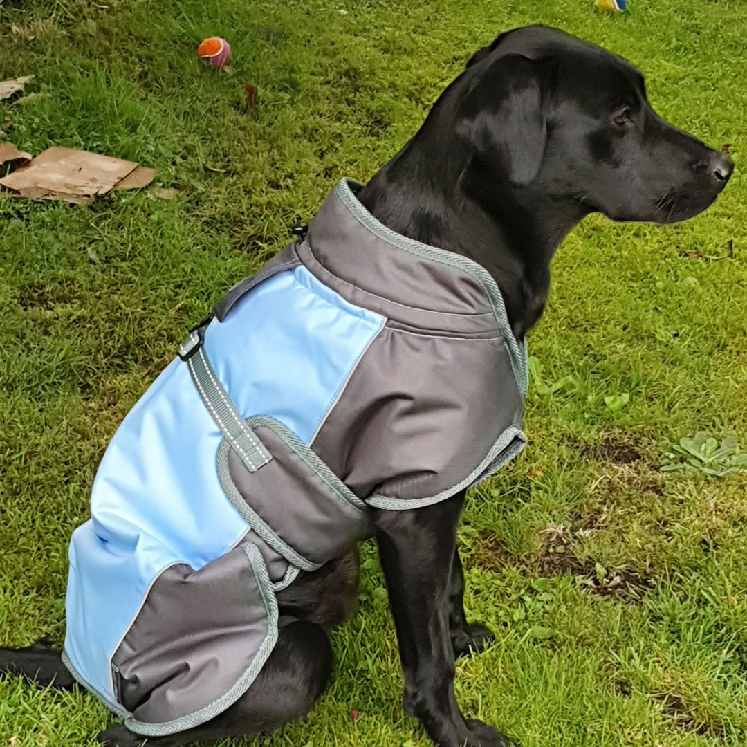 Henry Wag Waterproof Dog Coat