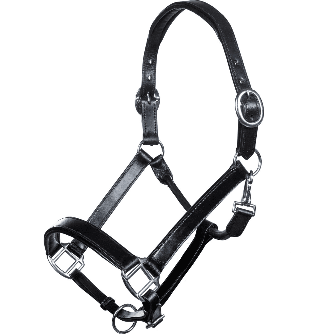 HKM Economic Leather Head Collar