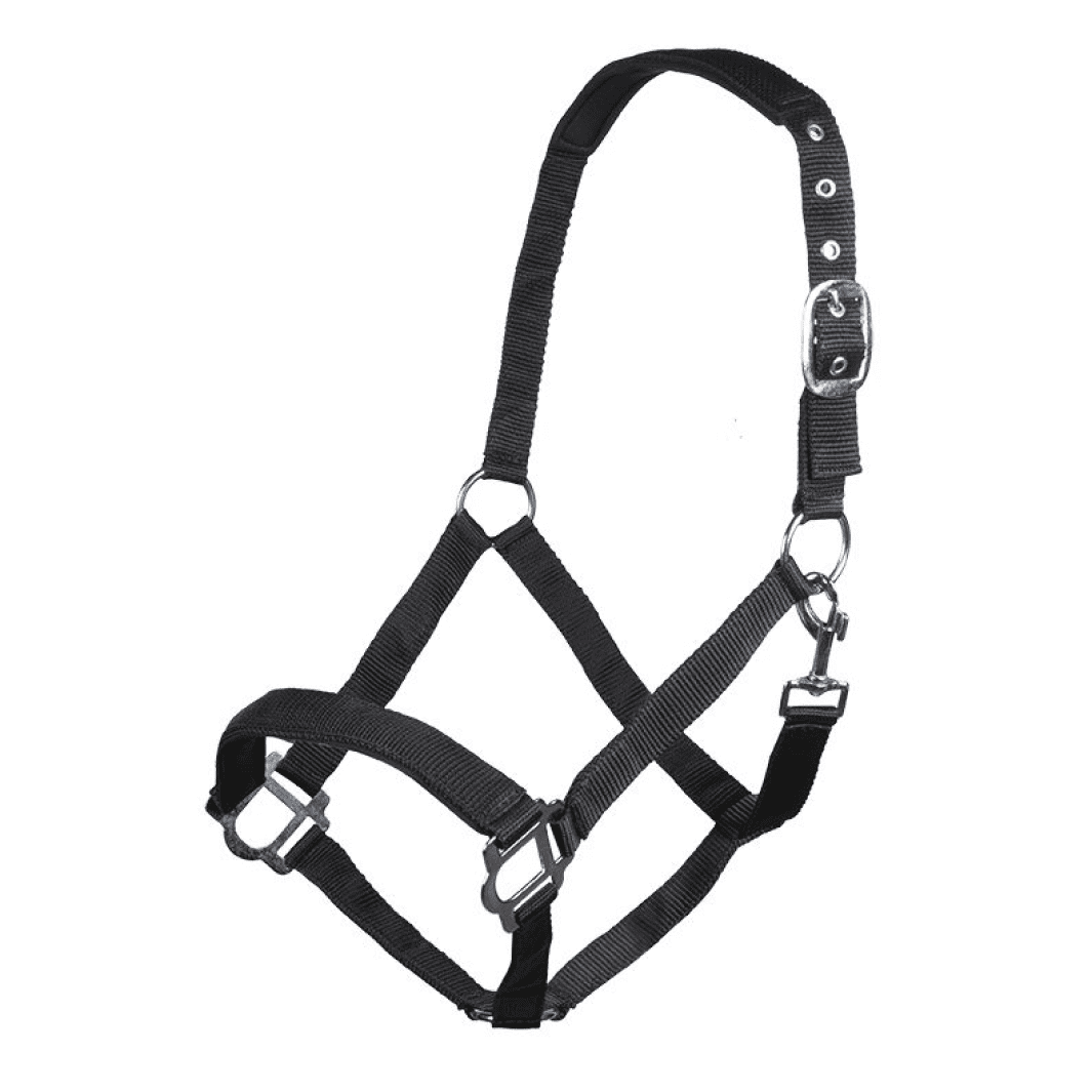 HKM Sydney Style Head Collar With Soft Padding