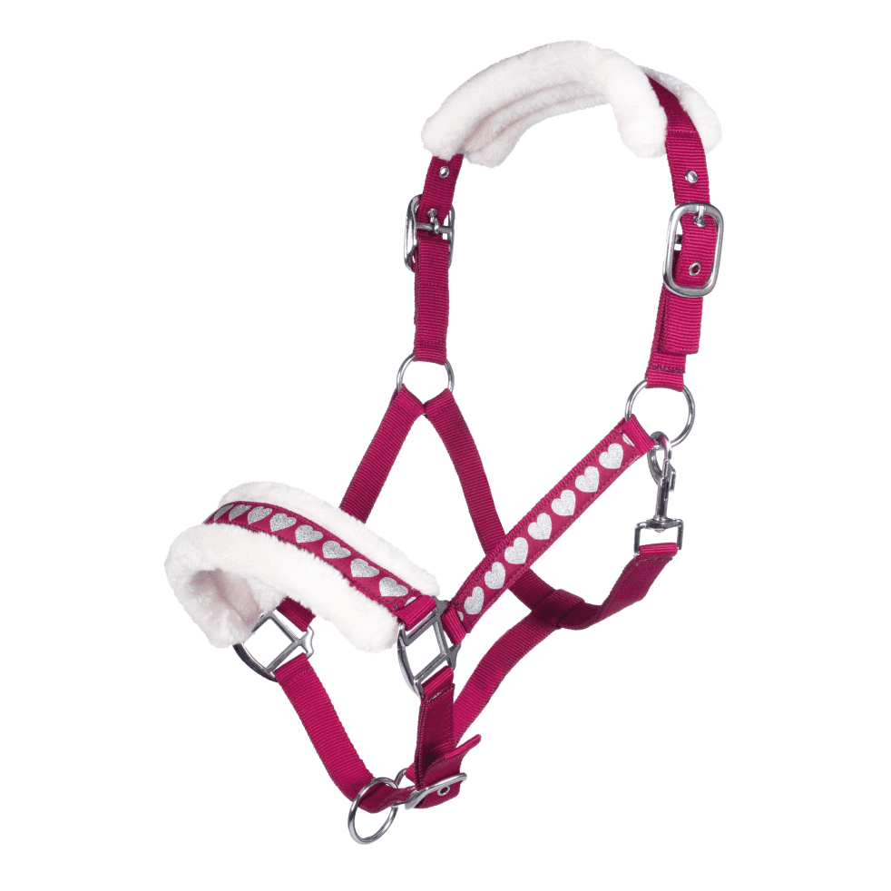 HKM Sweet Valentine Head Collar
