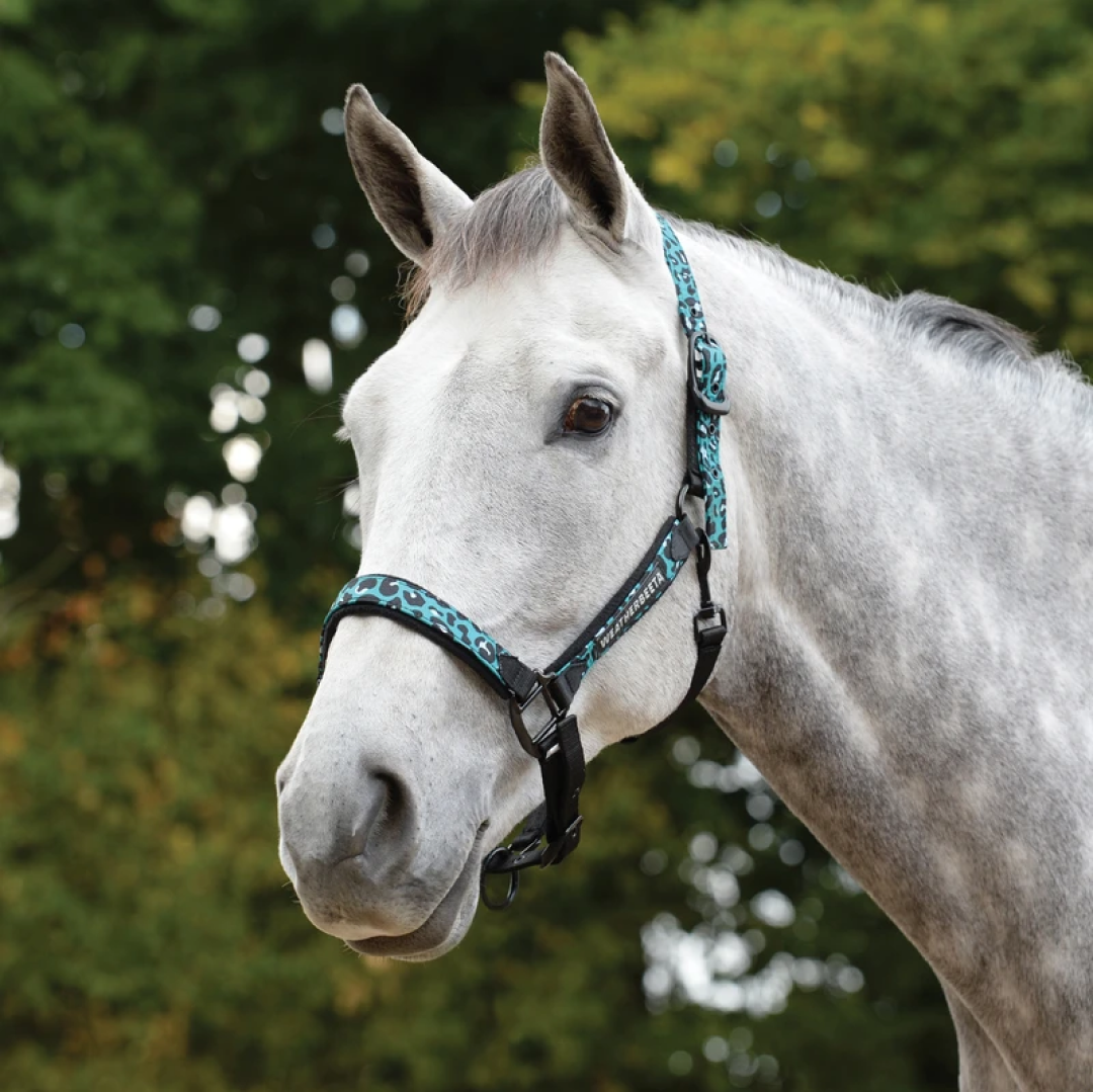 Weatherbeeta Leopard Headcollar