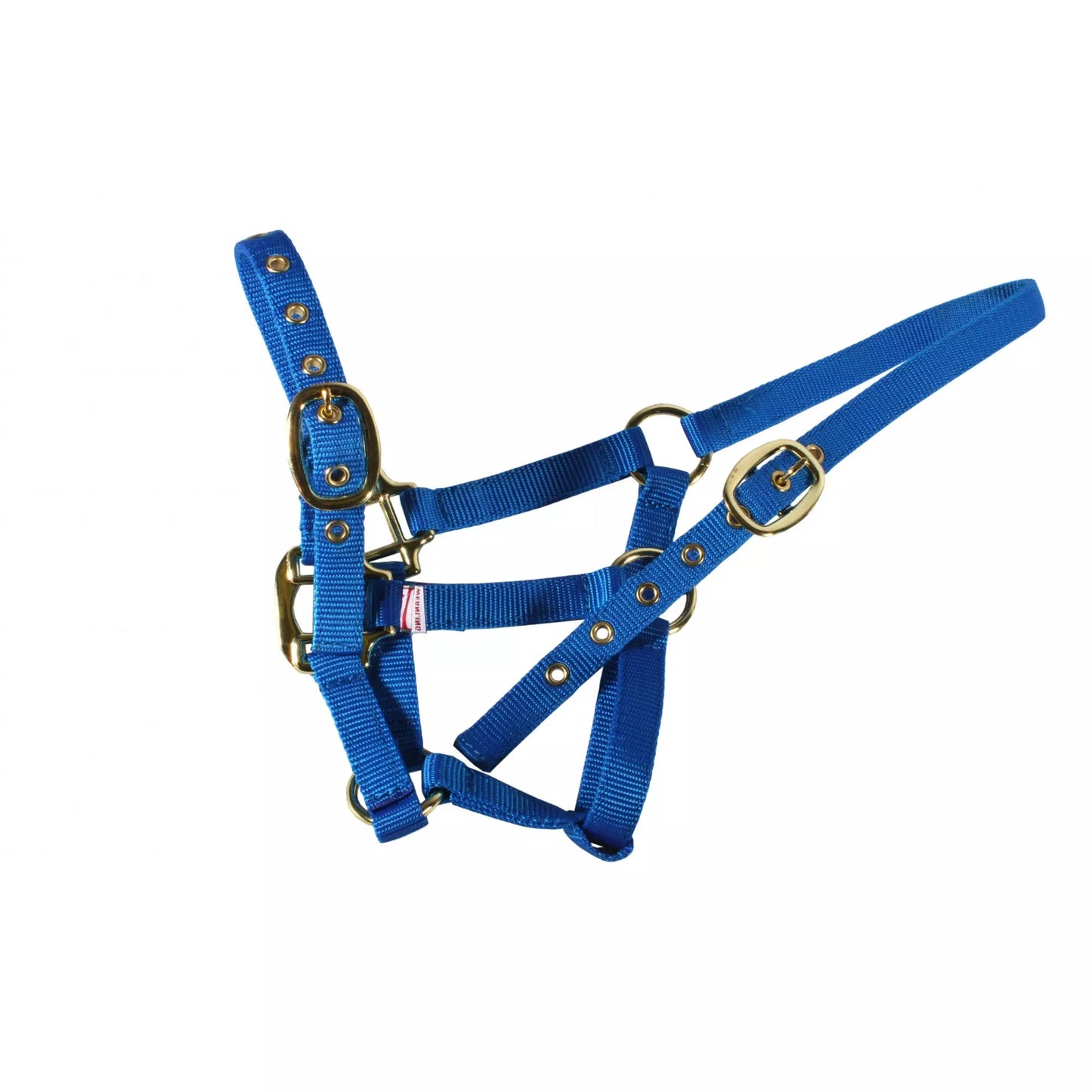 Mackey Equisential Nylon Headcollar