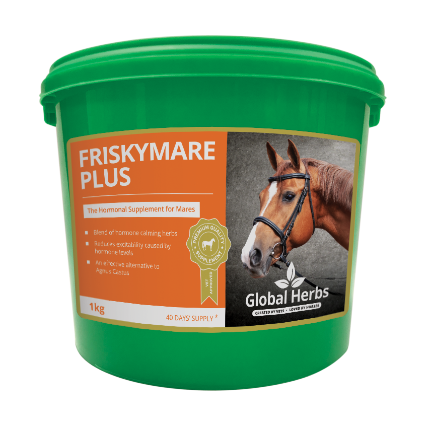 Global Herbs FriskyMare Plus