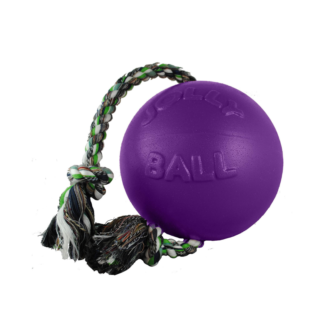 Jolly Pets Romp-n-Roll Jolly Ball