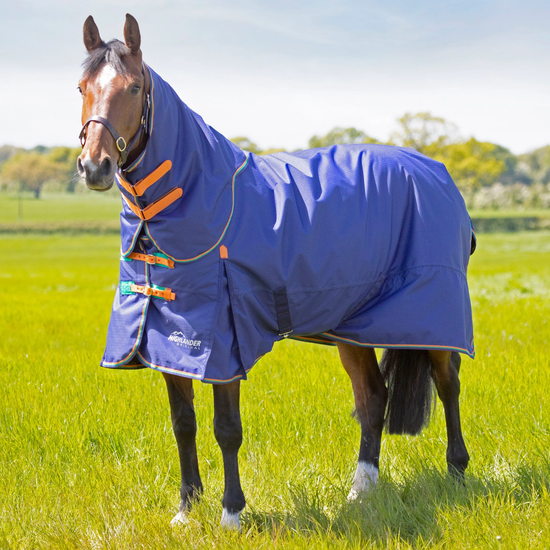 Shires Highlander Original 100g Turnout Rug & Neck