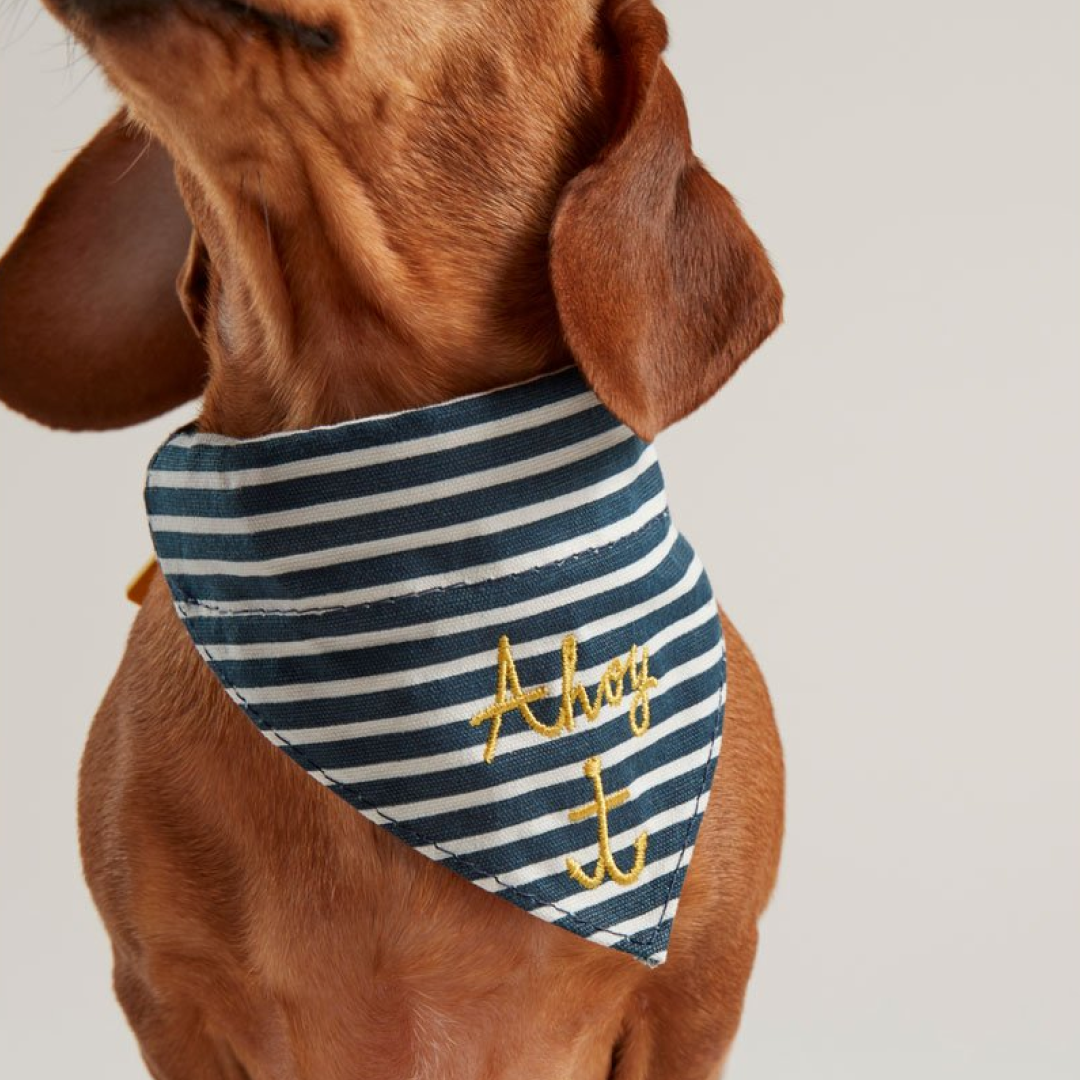 Joules Nautical Collar & Neckerchie