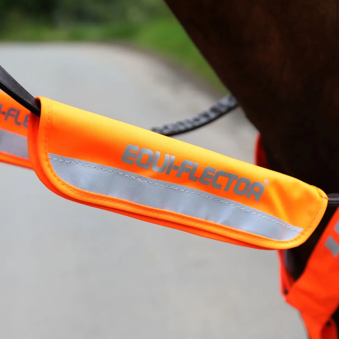 Shires EQUI-FLECTOR High Visibility Bridle or Halter Bands