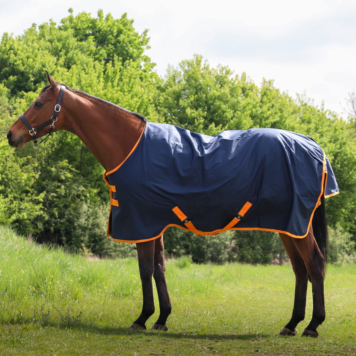 GS Equestrian 600D Waterproof Turnout Rug 100g