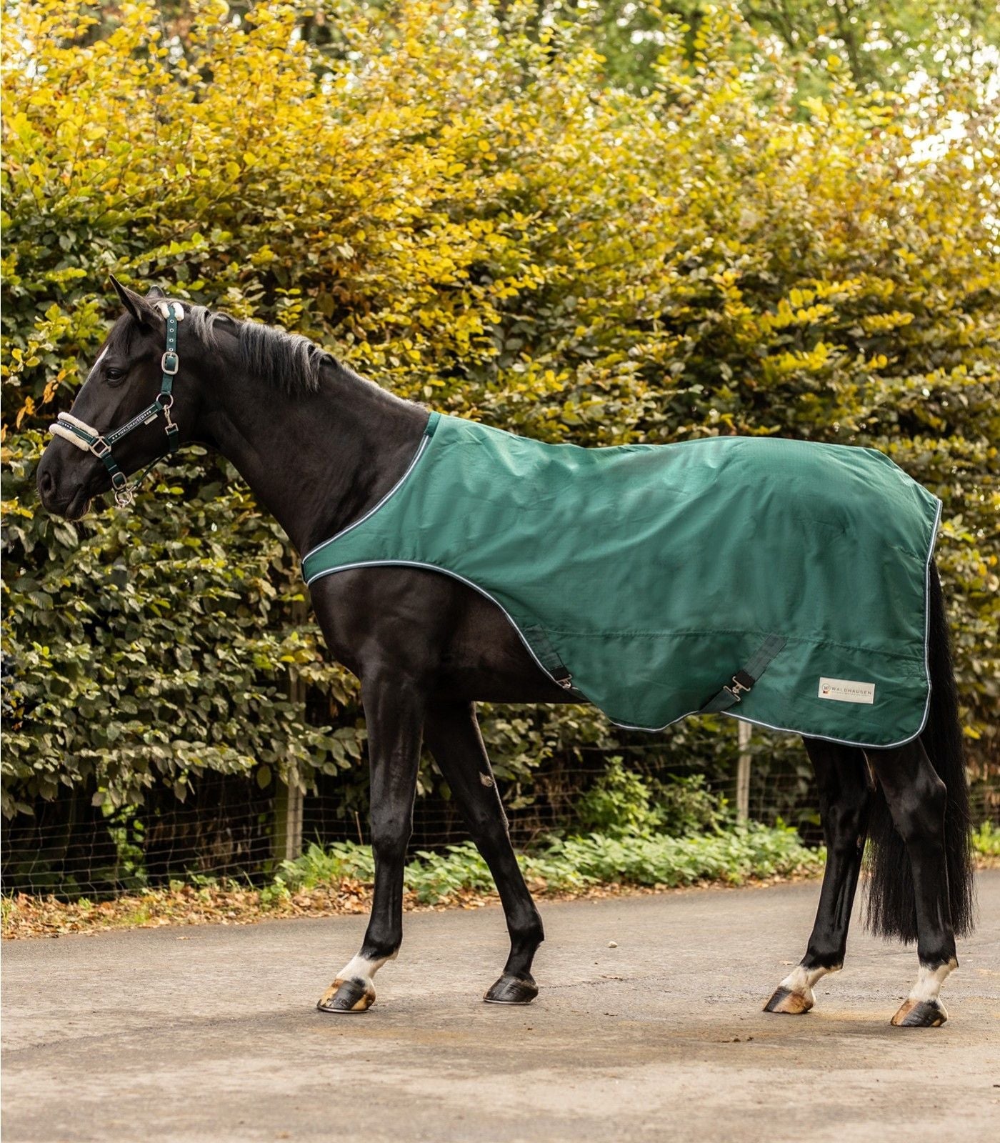 Waldhausen Comfort Horse Walker Rug