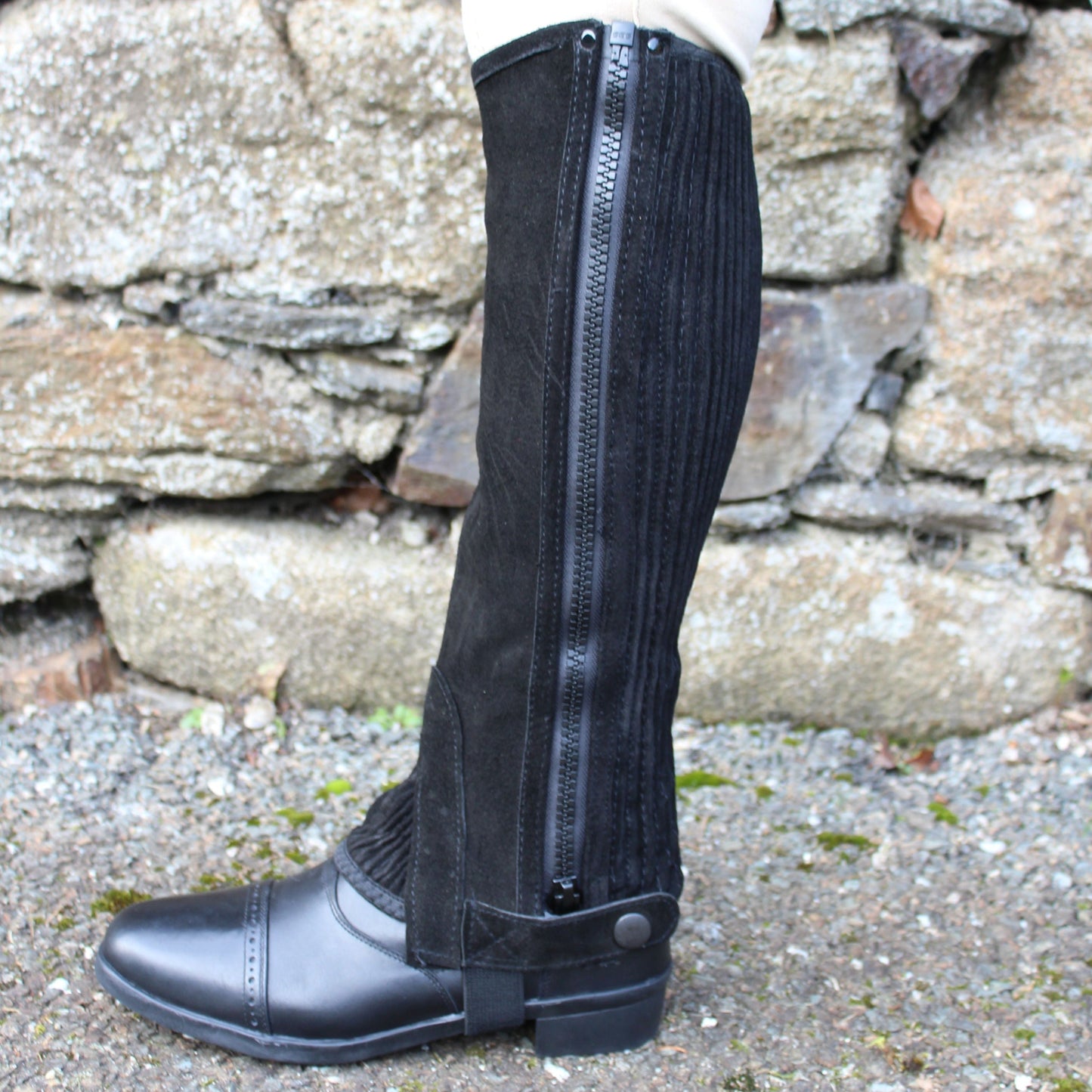 Mackey Equisential Adult Suede Half Chaps
