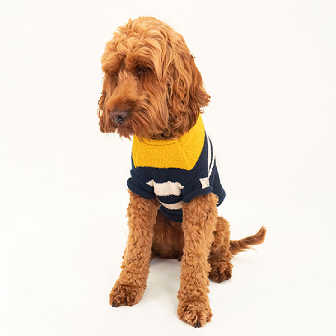 Joules Coastal Jumper