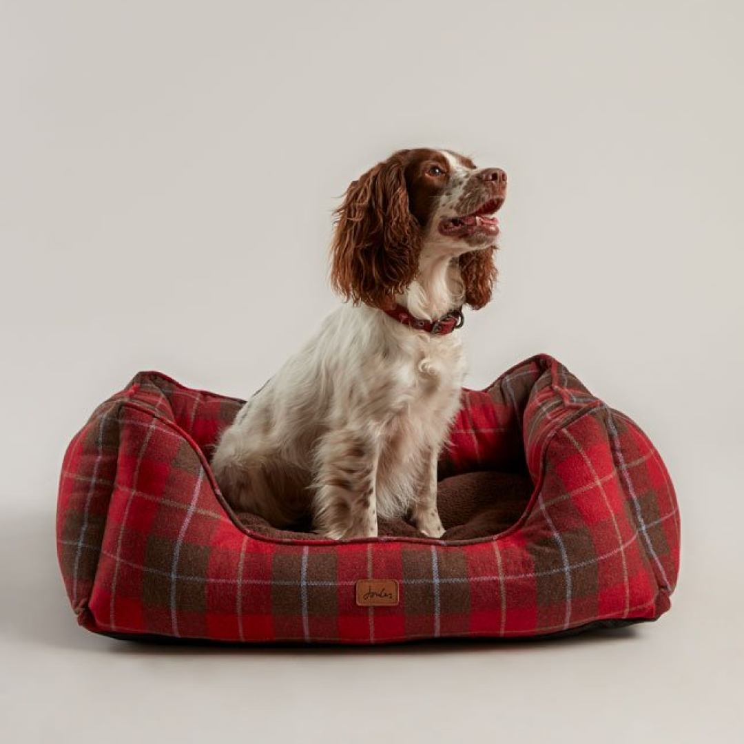 Joules Heritage Tweed Box Bed