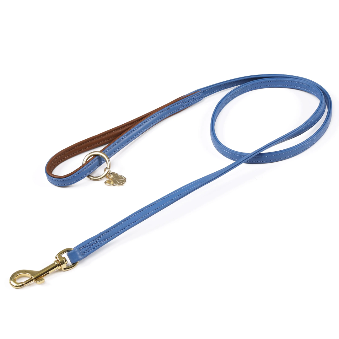 Shires Digby & Fox Padded Leather Dog Lead