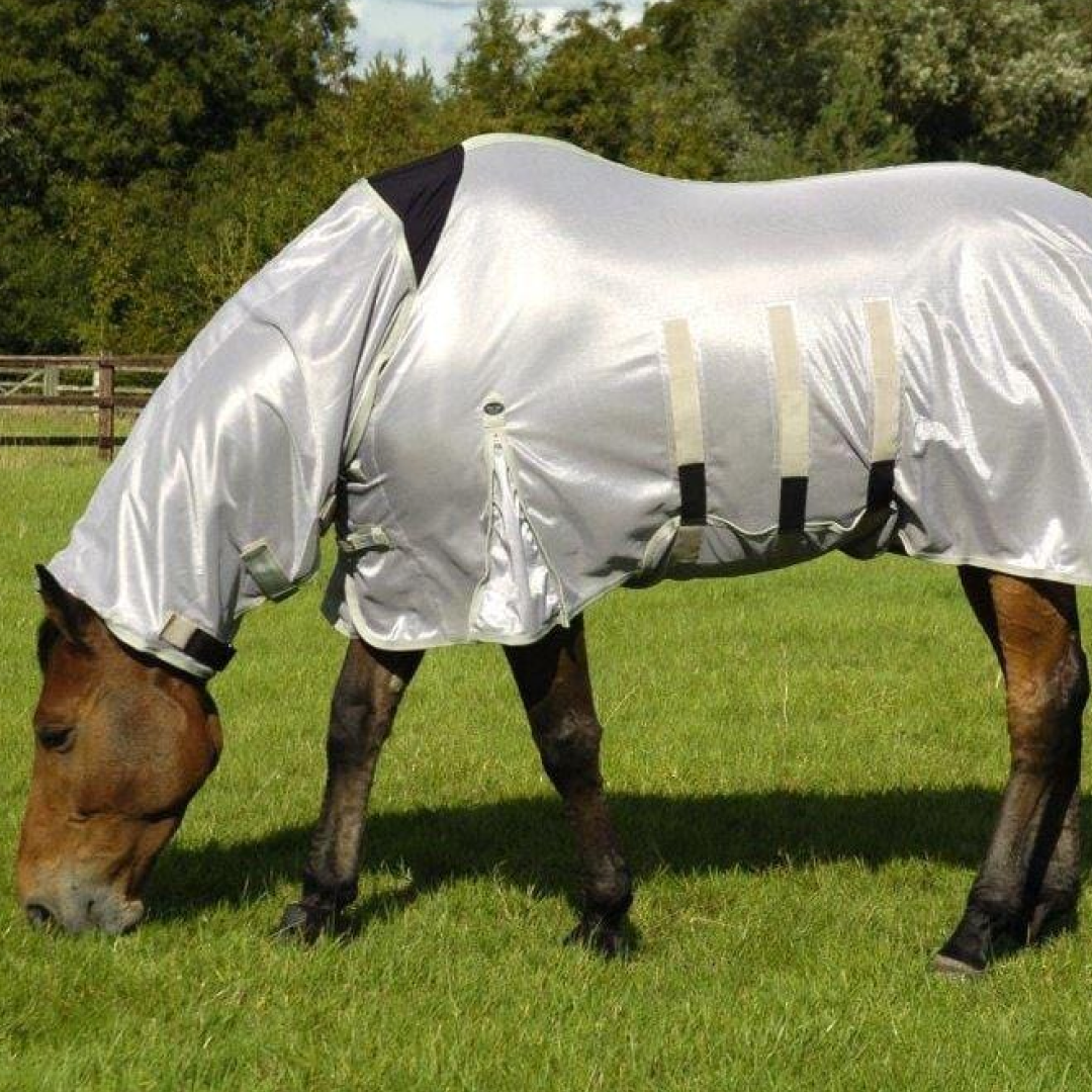 Mark Todd Fly Ultra Combo Rug