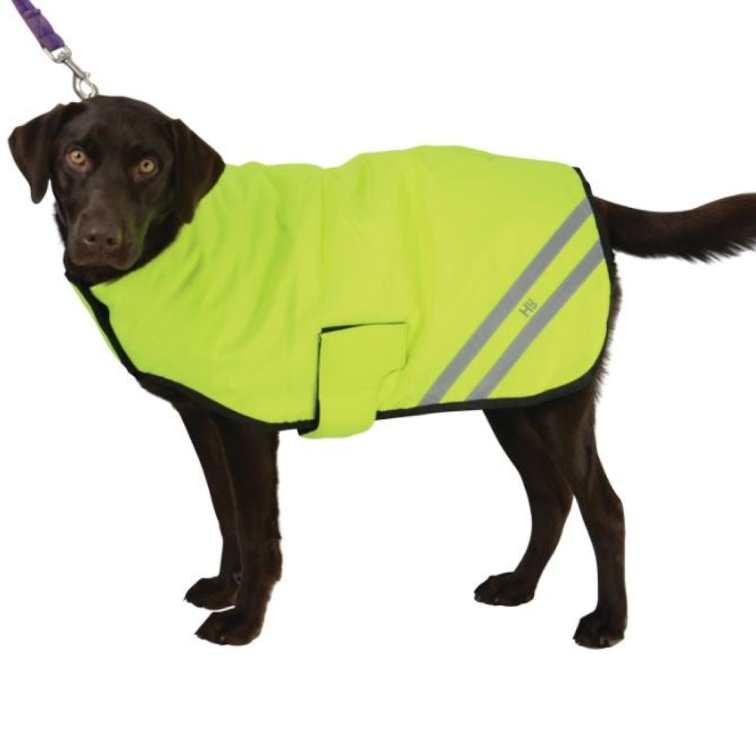 HyVIZ Reflector Waterproof Dog Coat