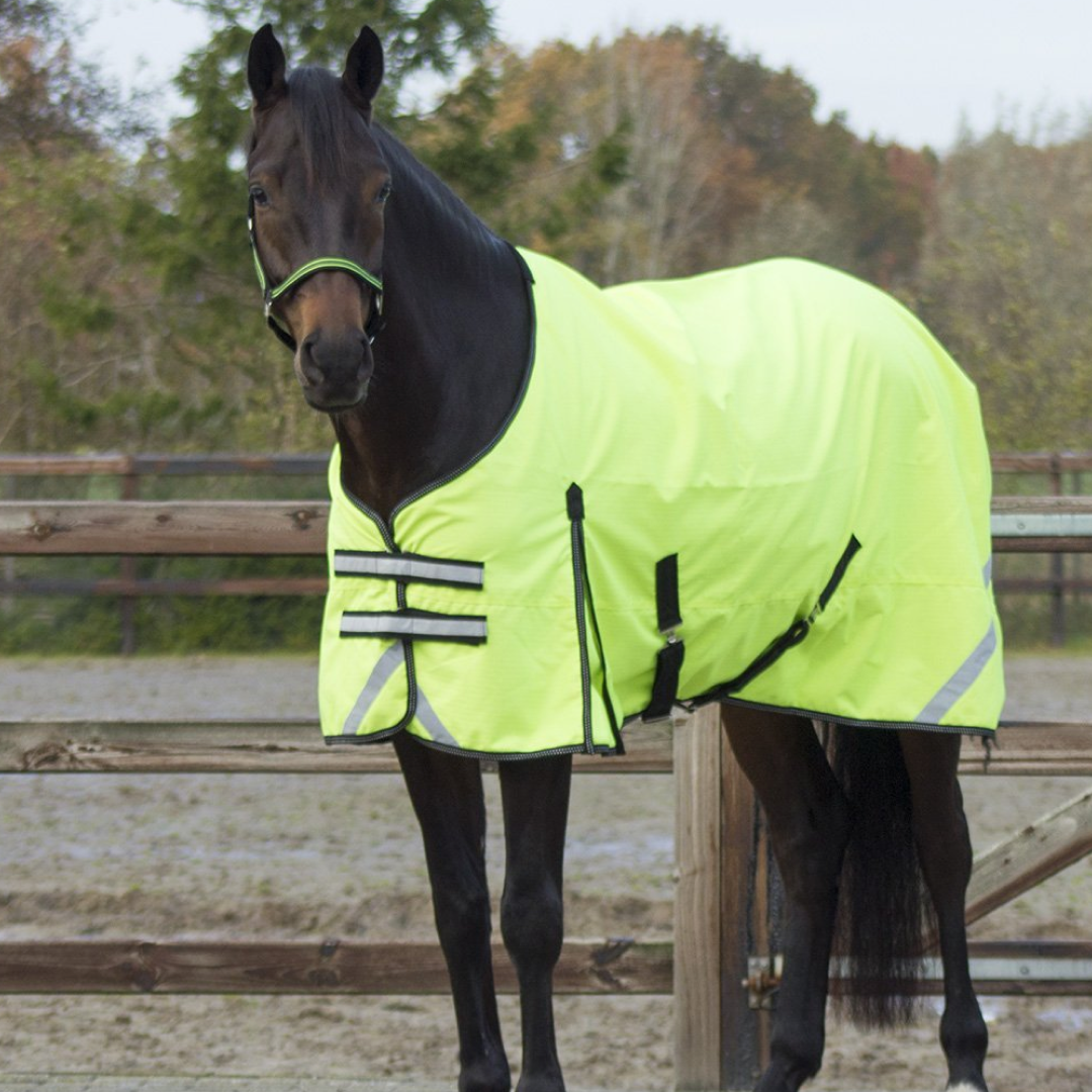 QHP Reflective Turnout Rug 0g