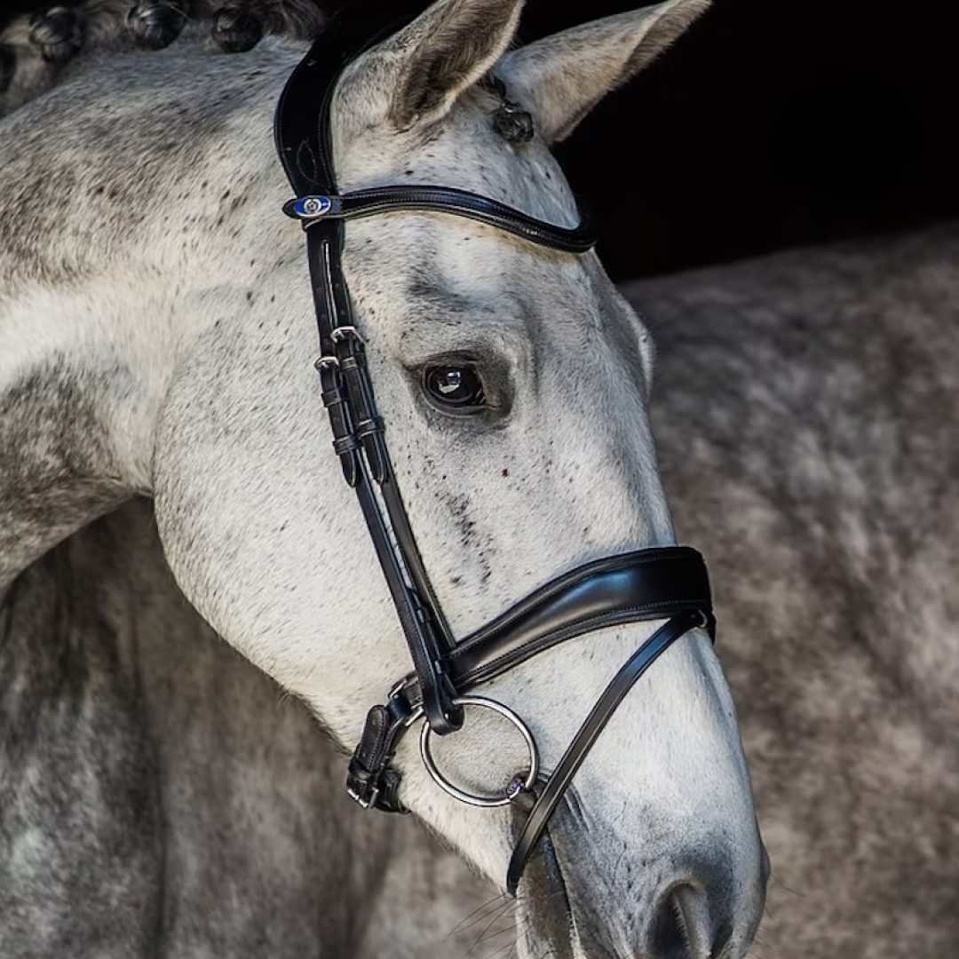 PS de Suecia Black Flying Change Bridle