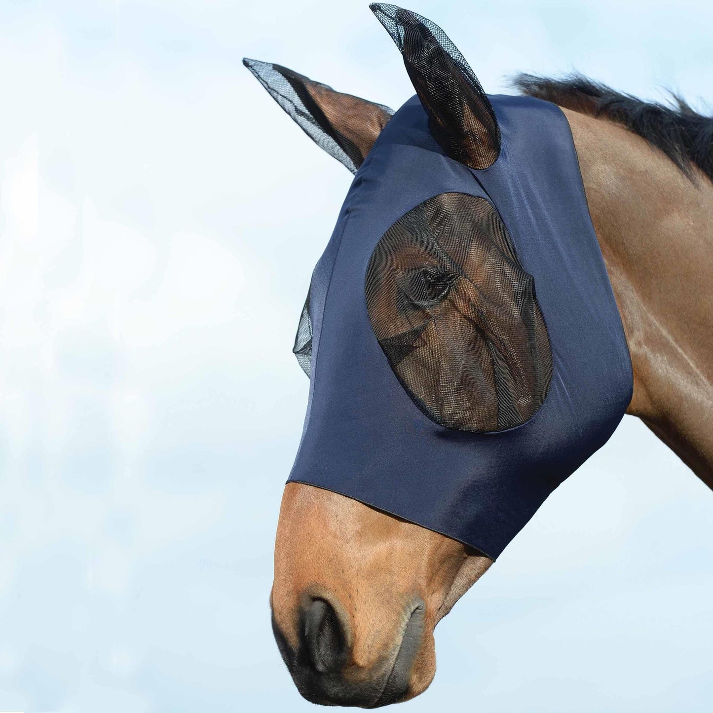 WeatherBeeta Stretch Bug Eye Saver with Ears