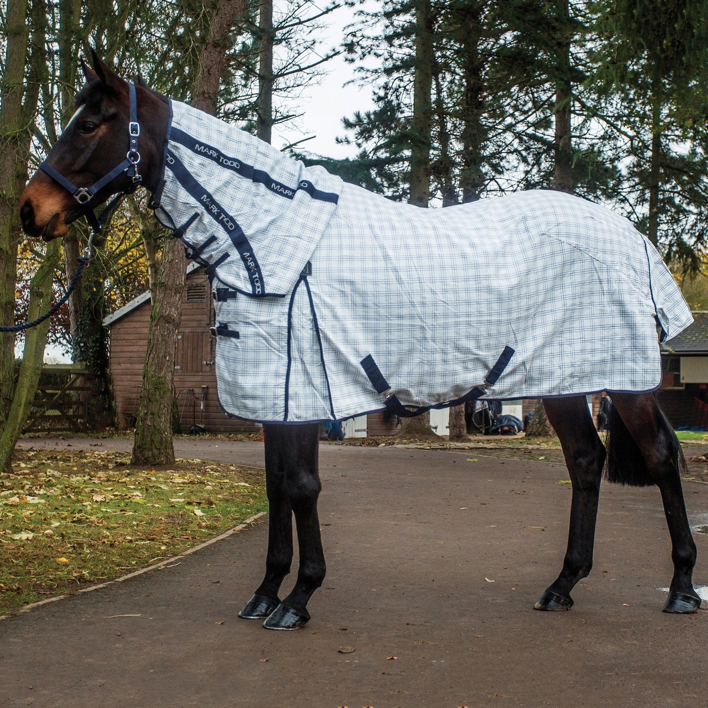 Mark Todd Comprehensive Combo Rug