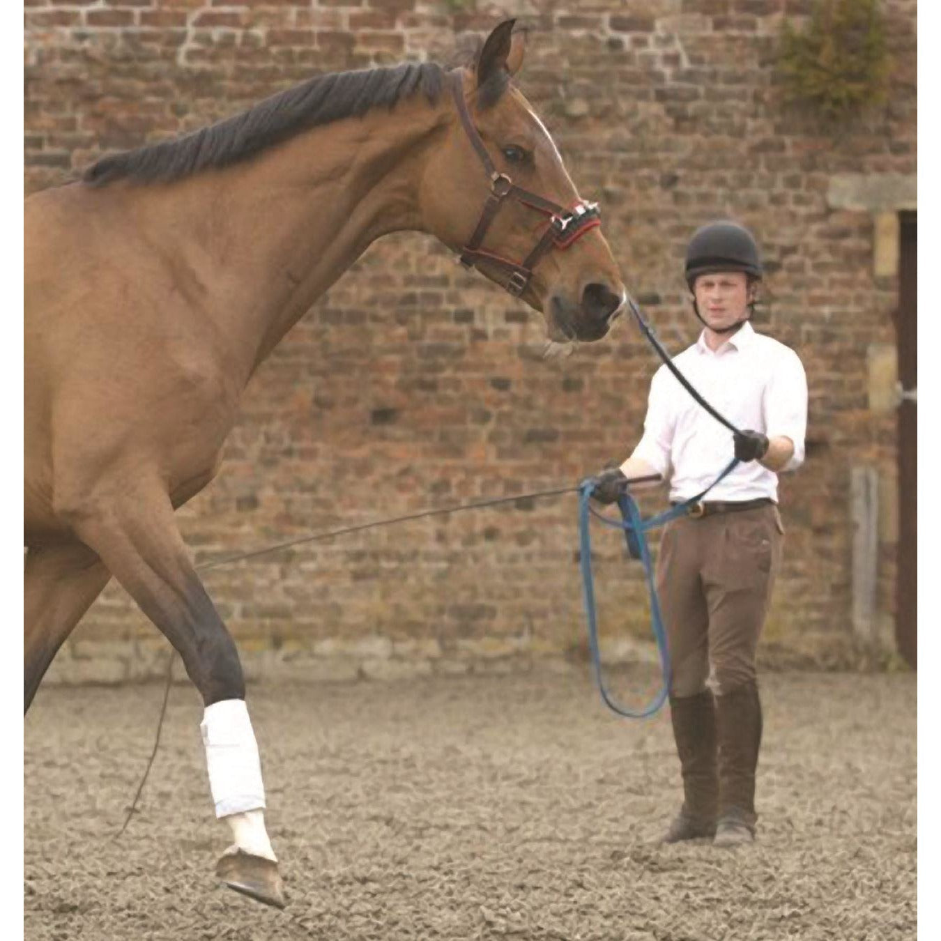 Hy Soft Webbing Lunge Rein