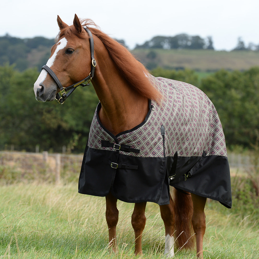 Weatherbeeta Comfitec Essential Standard Neck Medium - Western Range