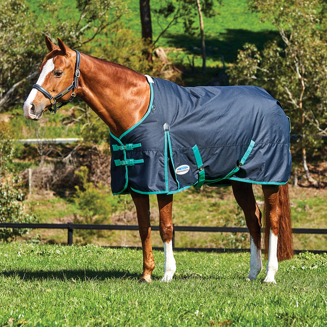 Weatherbeeta Comfitec Classic Standard Neck Medium