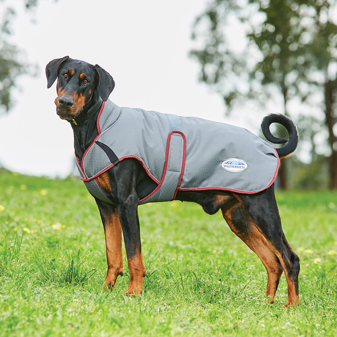 Weatherbeeta Comfitec Premier Free Parka Deluxe Dog Coat Medium