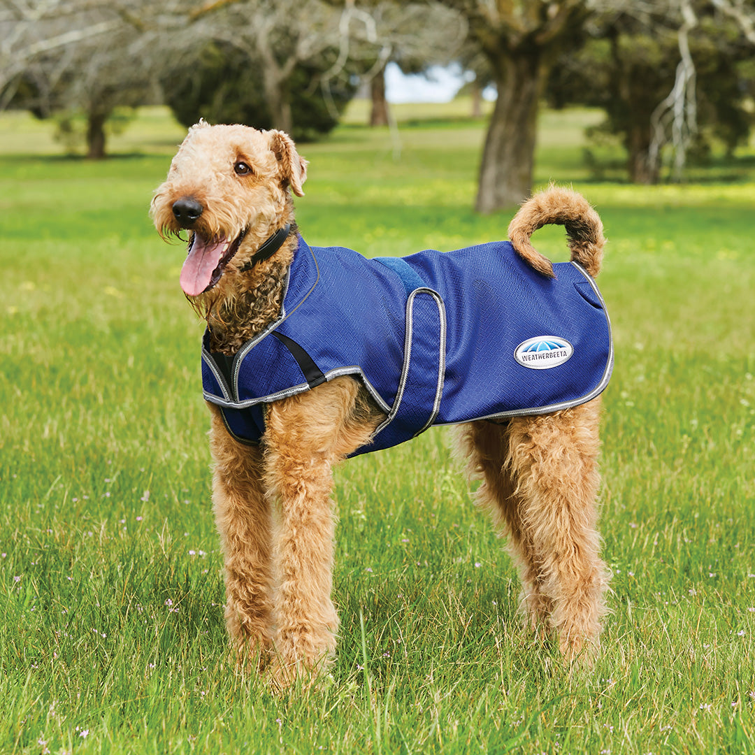 Weatherbeeta Comfitec Premier Free Parka Deluxe Dog Coat Medium