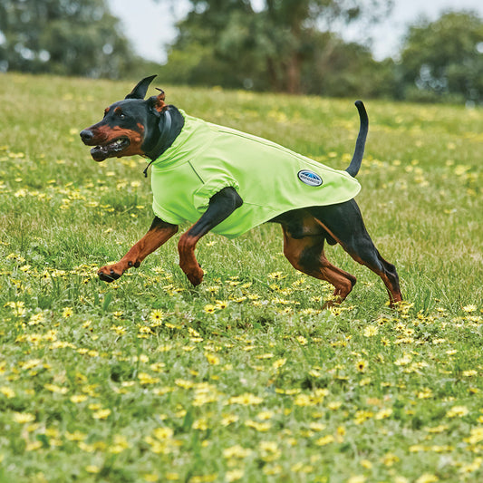 Weatherbeeta Comfitec Active Dog Coat