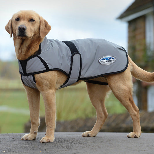 Weatherbeeta Comfitec Reflective Dog Coat Medium