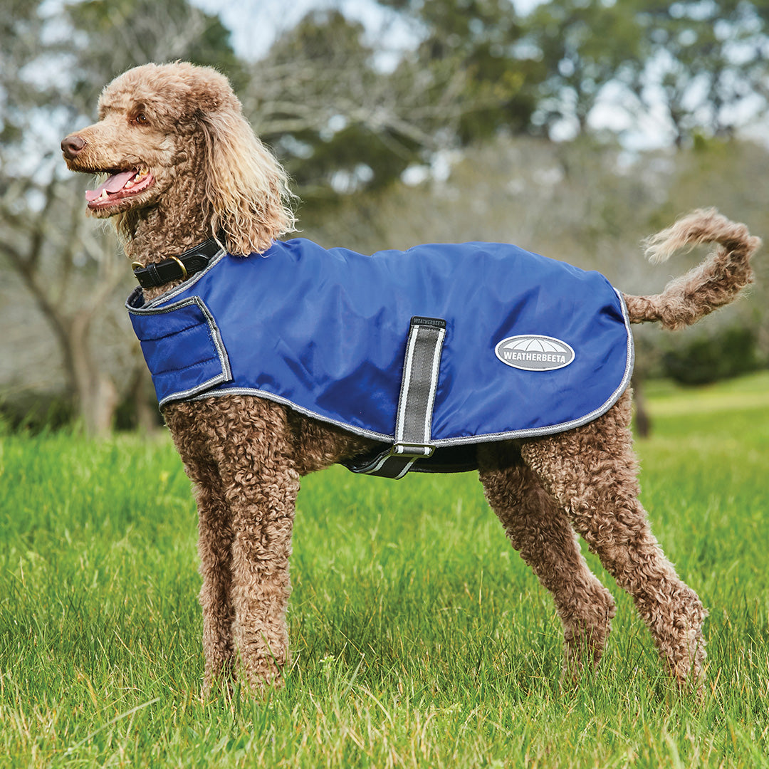 Weatherbeeta Comfitec Windbreaker Free Parka Dog Coat