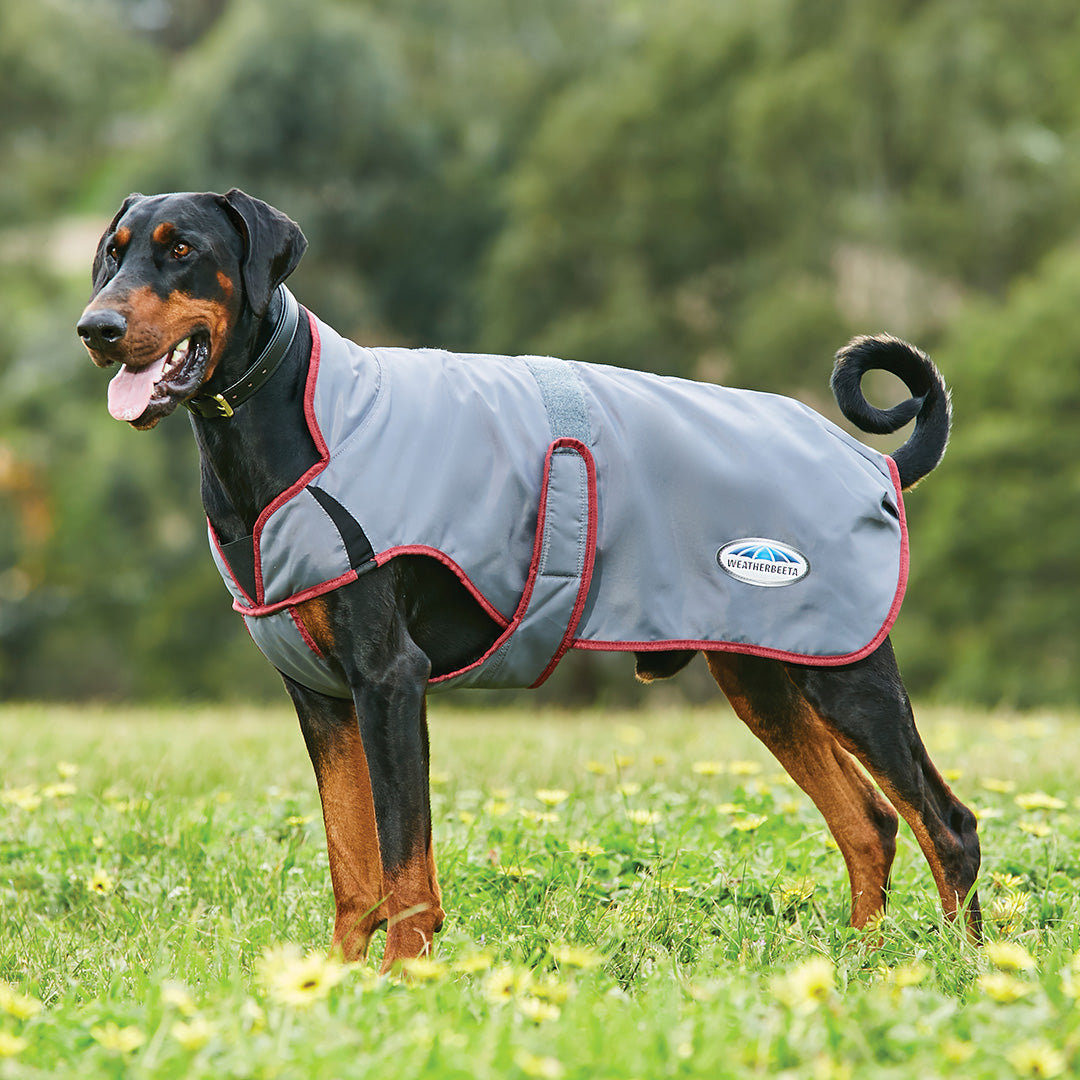 Weatherbeeta Comfitec Windbreaker Free Parka Deluxe Dog Coat