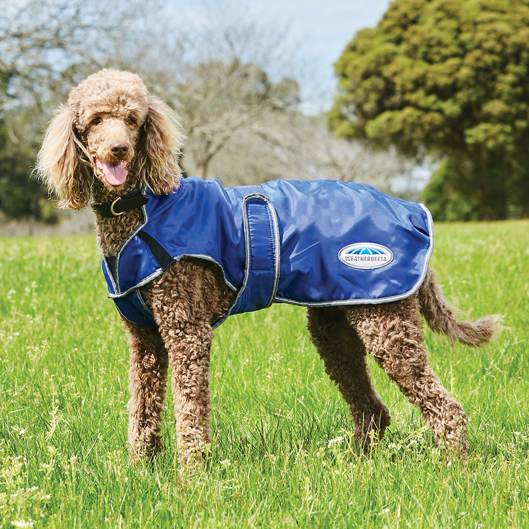 Weatherbeeta Comfitec Windbreaker Free Parka Deluxe Dog Coat