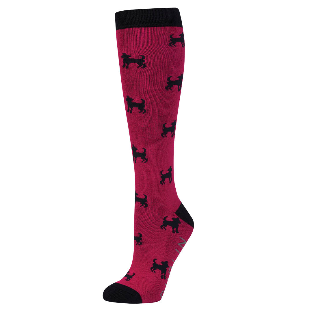 Dublin Patterned Riding Socks - Single Pack